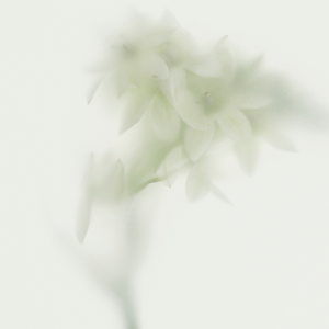 Boby Wash 190 Bal Blanc