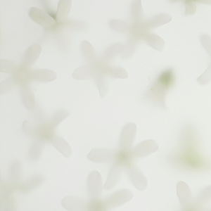 Hand Cream 190 Bal Blanc