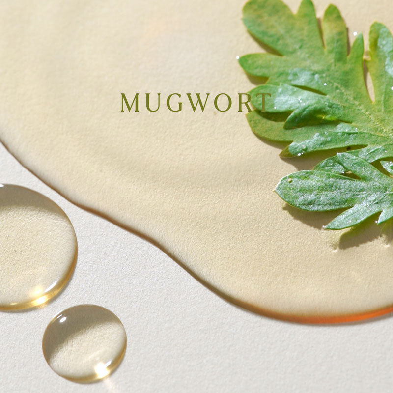 Mugwort essence MINI, 30 ml